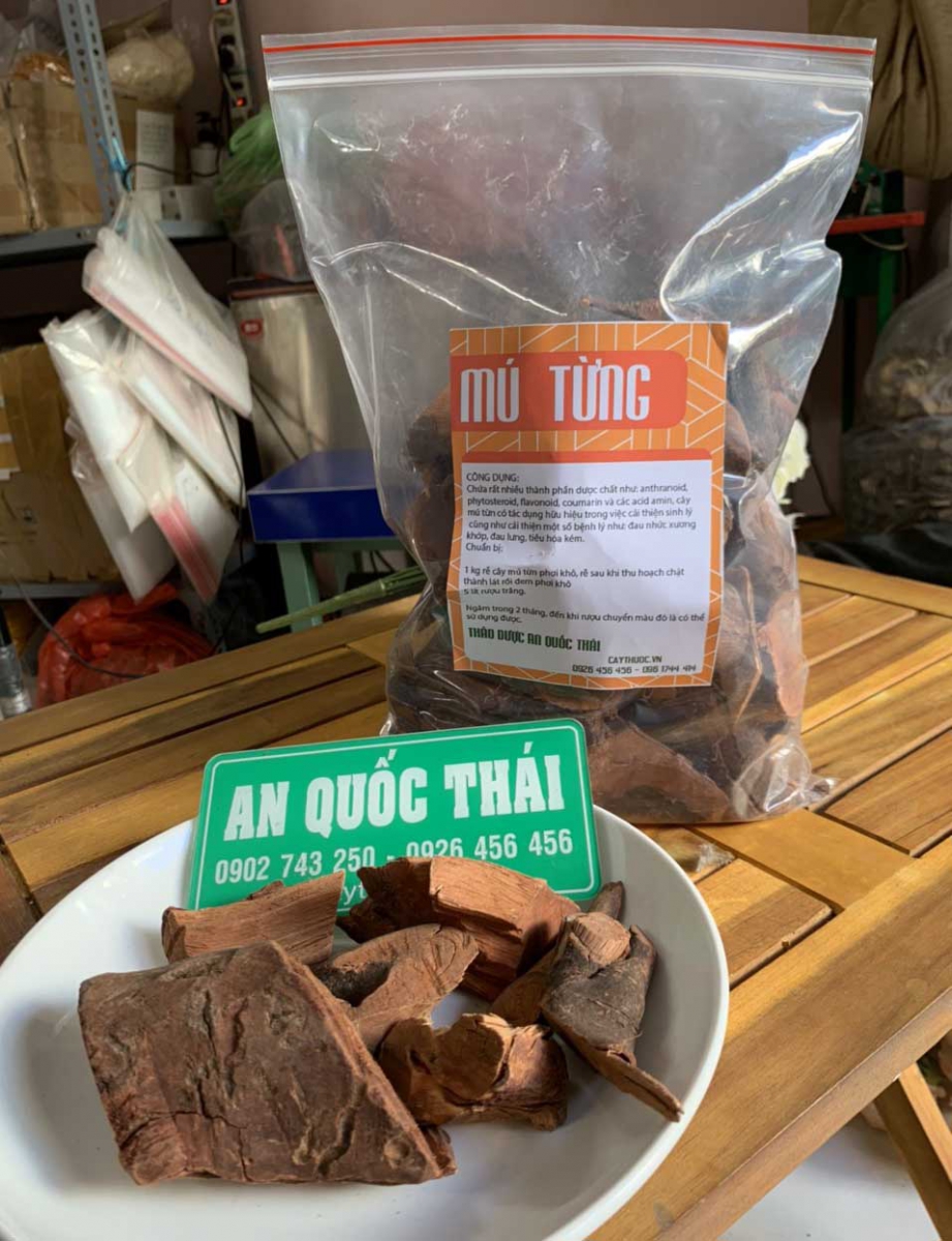 Mú từn rễ