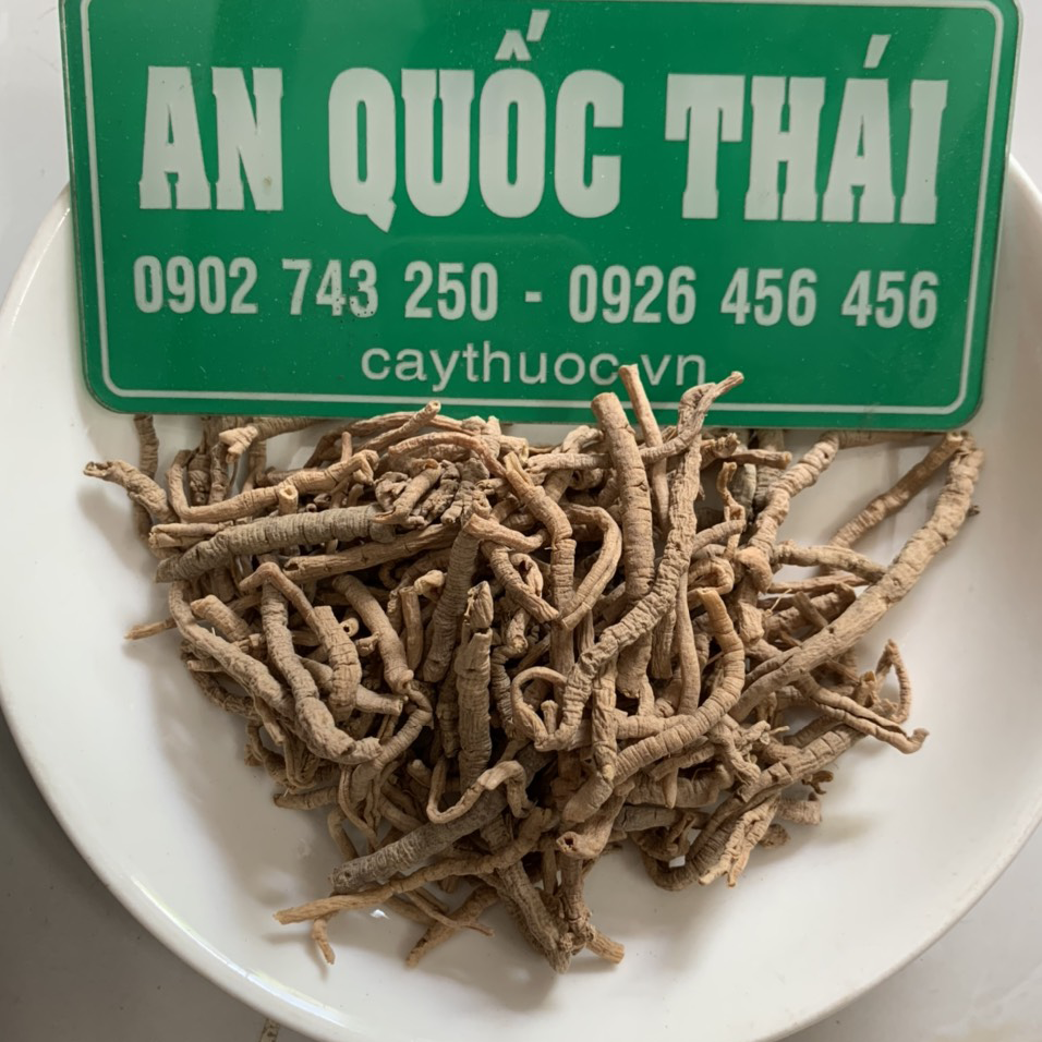 Bài thuốc chữa bệnh từ viễn trí