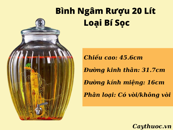 bình ngâm rượu 20 lít