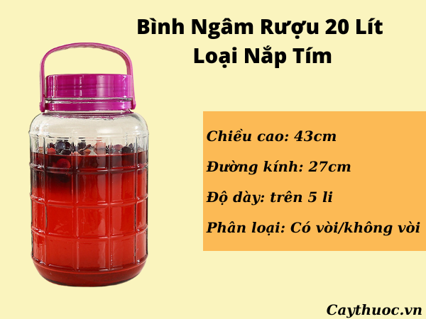 bình thủy tinh 20 lít giá bao nhiêu