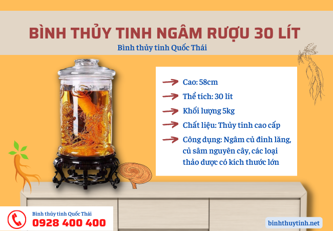 bình thủy tinh ngâm rượu 30 lít