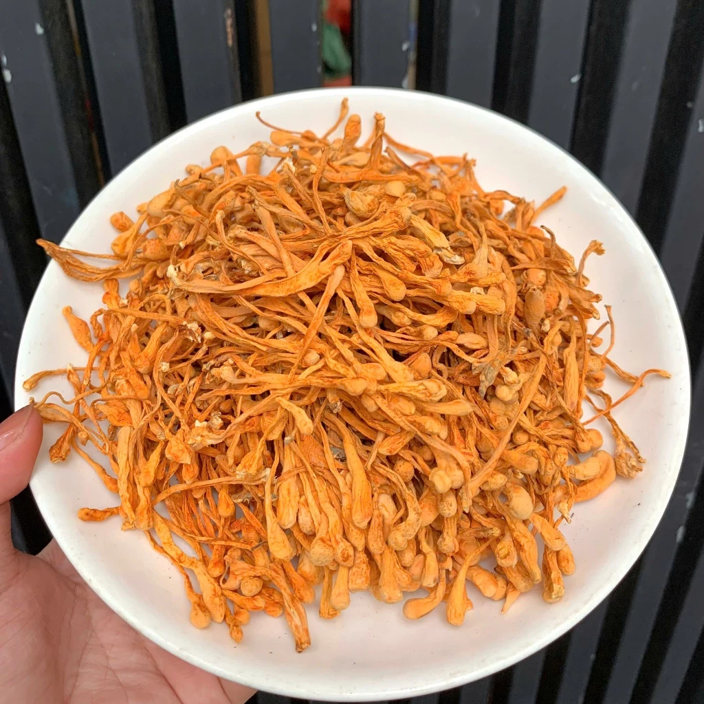 bong dong trung ha thao