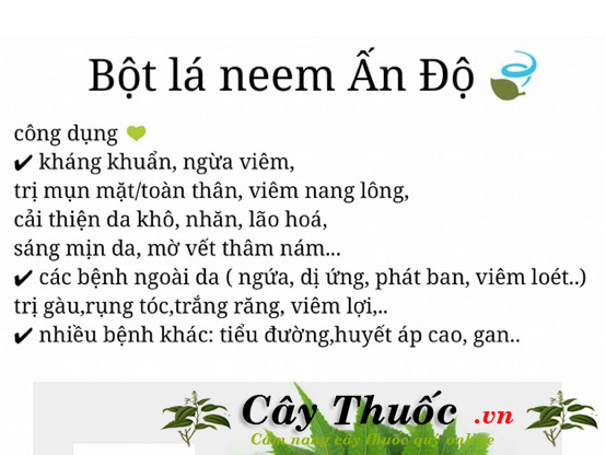 bot la neem an do co tac dung gi