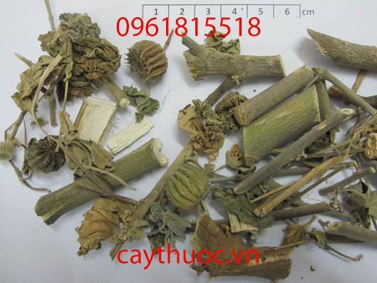 cây cối xay khô