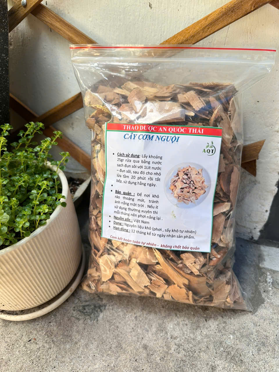 tac dung cua cay com nguoi