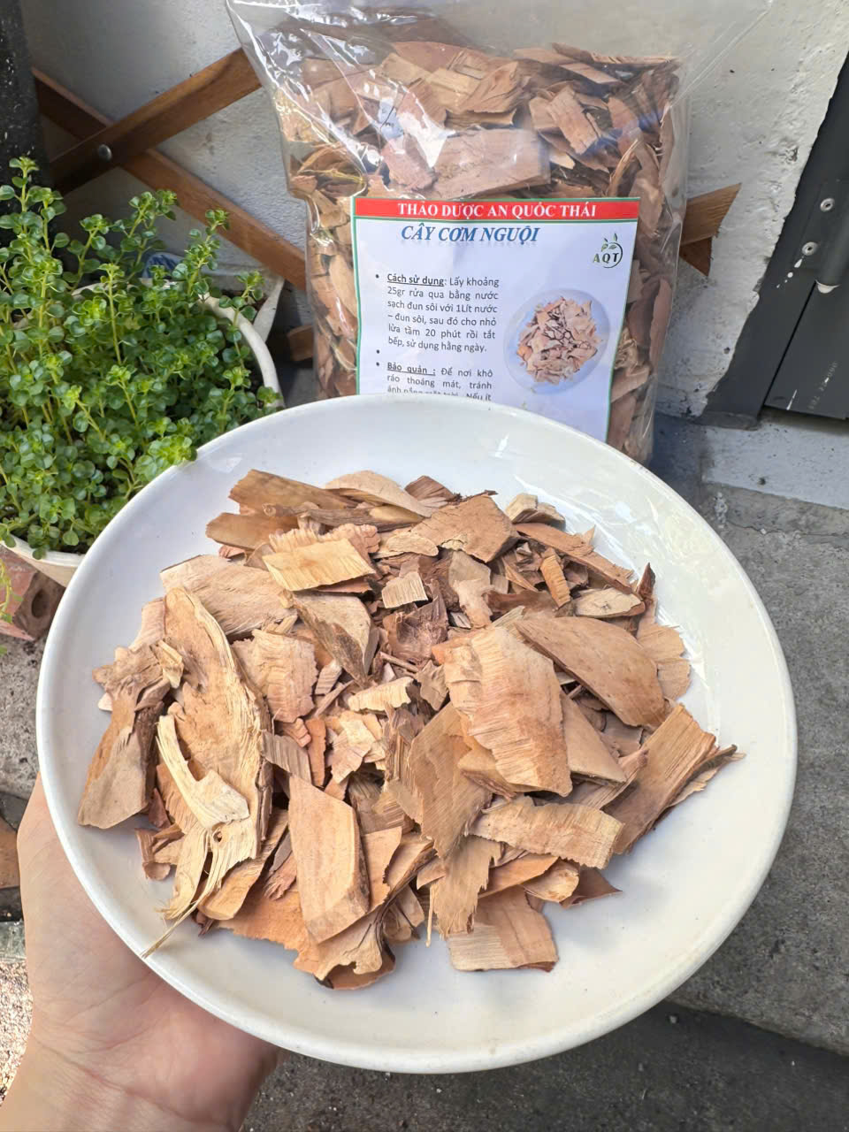 cay com nguoi mua o dau