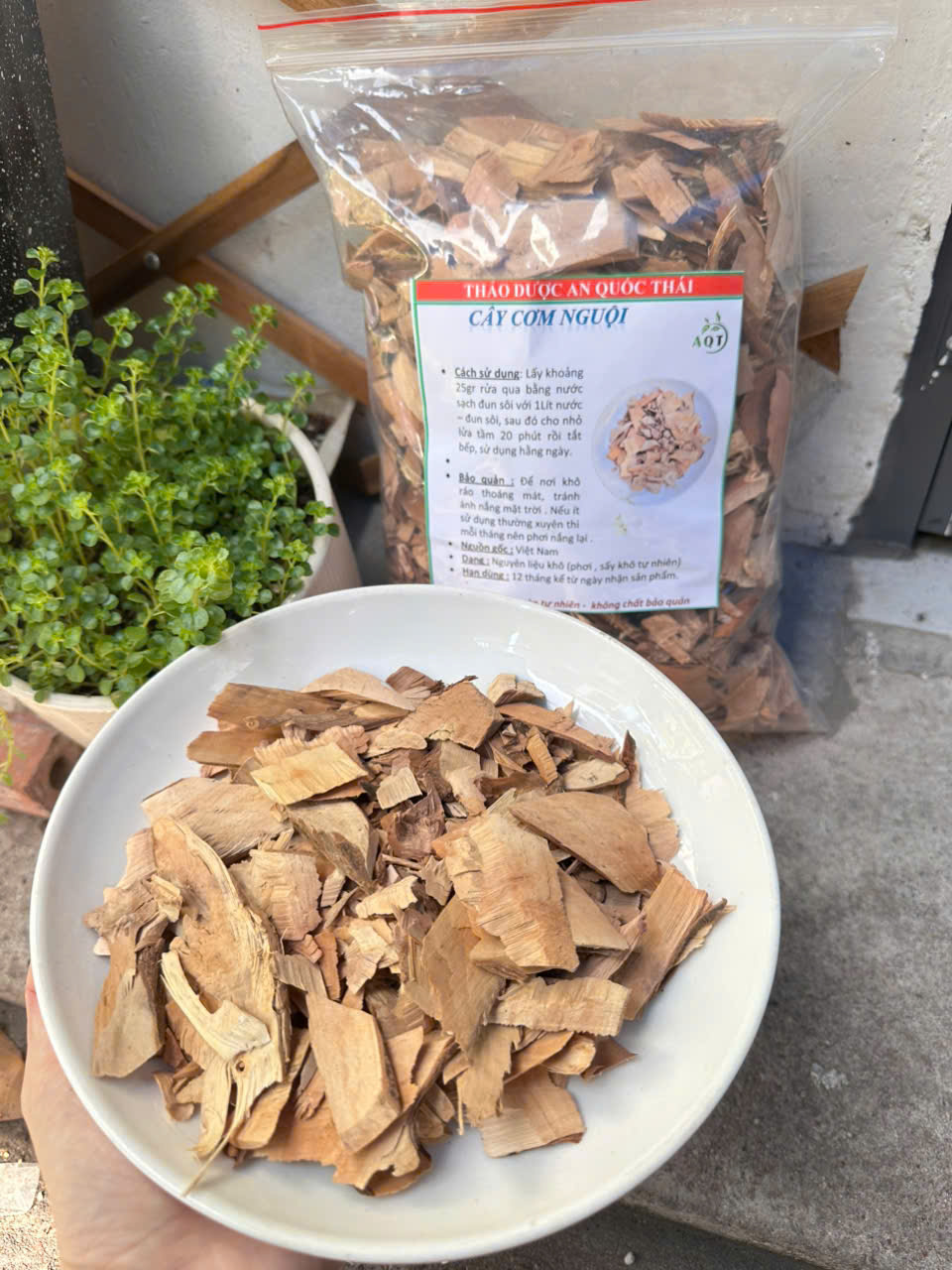 cay com nguoi ban o dau