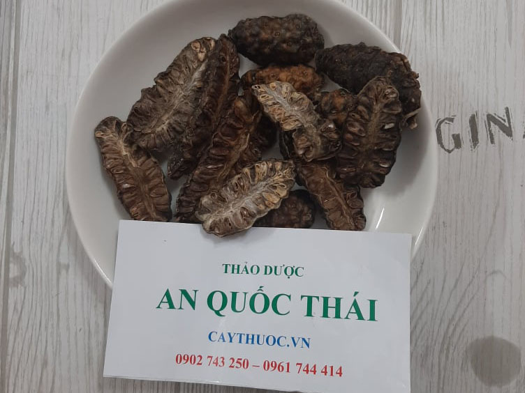 cay thuoc nam tri dau nhuc xuong khop