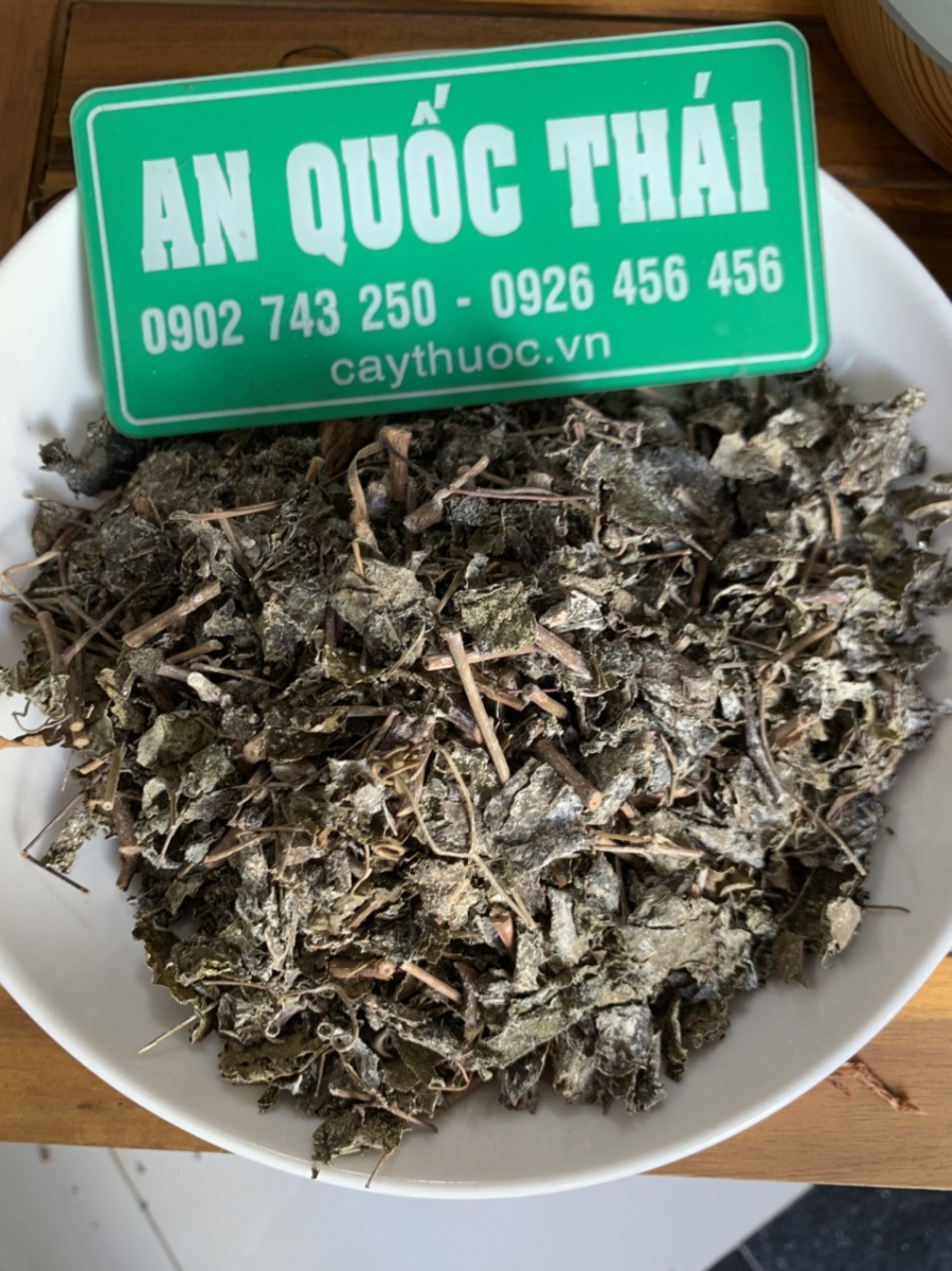 chè dây có tác dụng gì