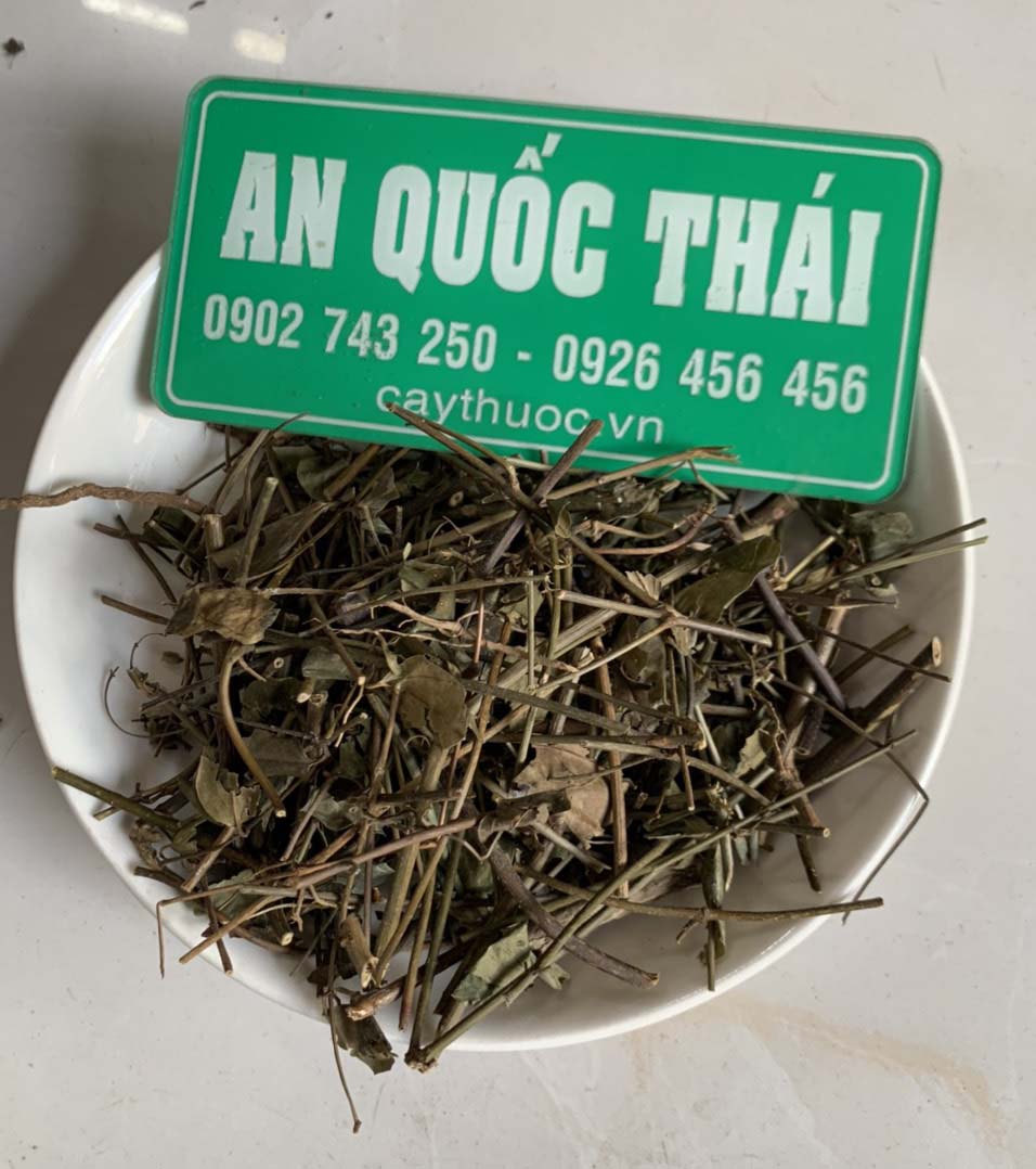 Chè vằng giảm cân