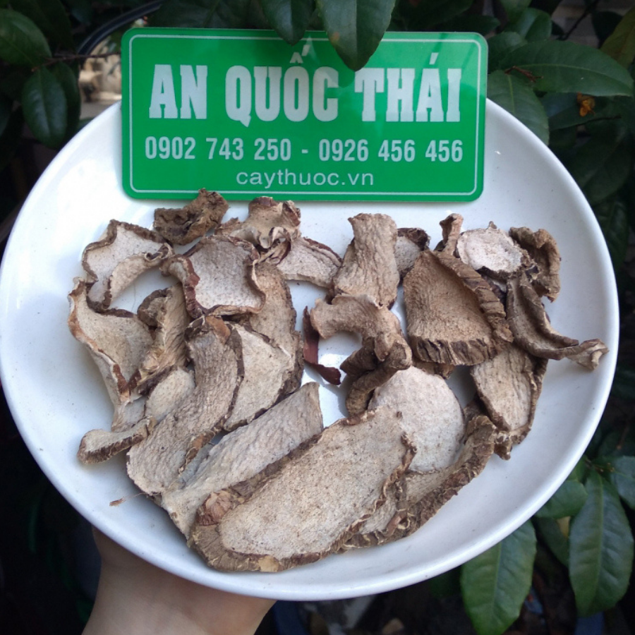 Mua củ ráy ở đâu