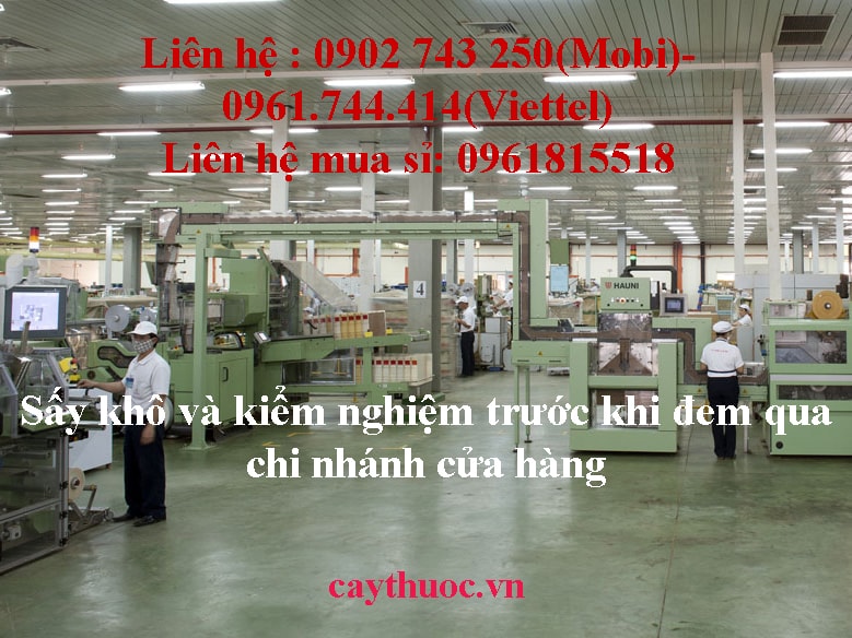 dây chuyền sấy và kiểm thuốc