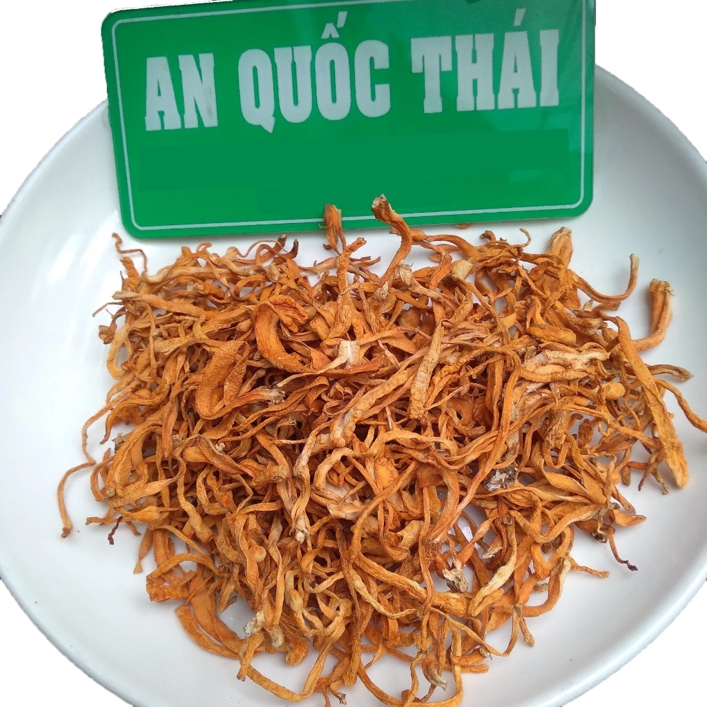 dong trung ha thao say kho