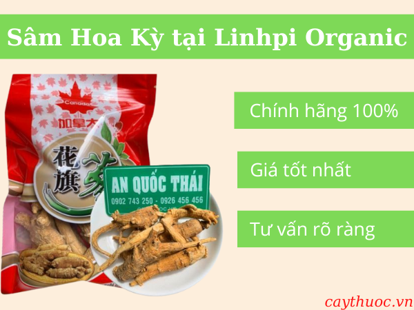 giá nhân sâm hoa kỳ