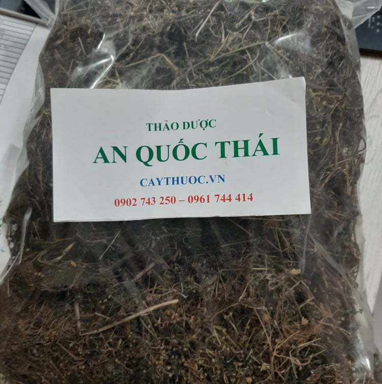 bạch hoa xà mua ở đâu