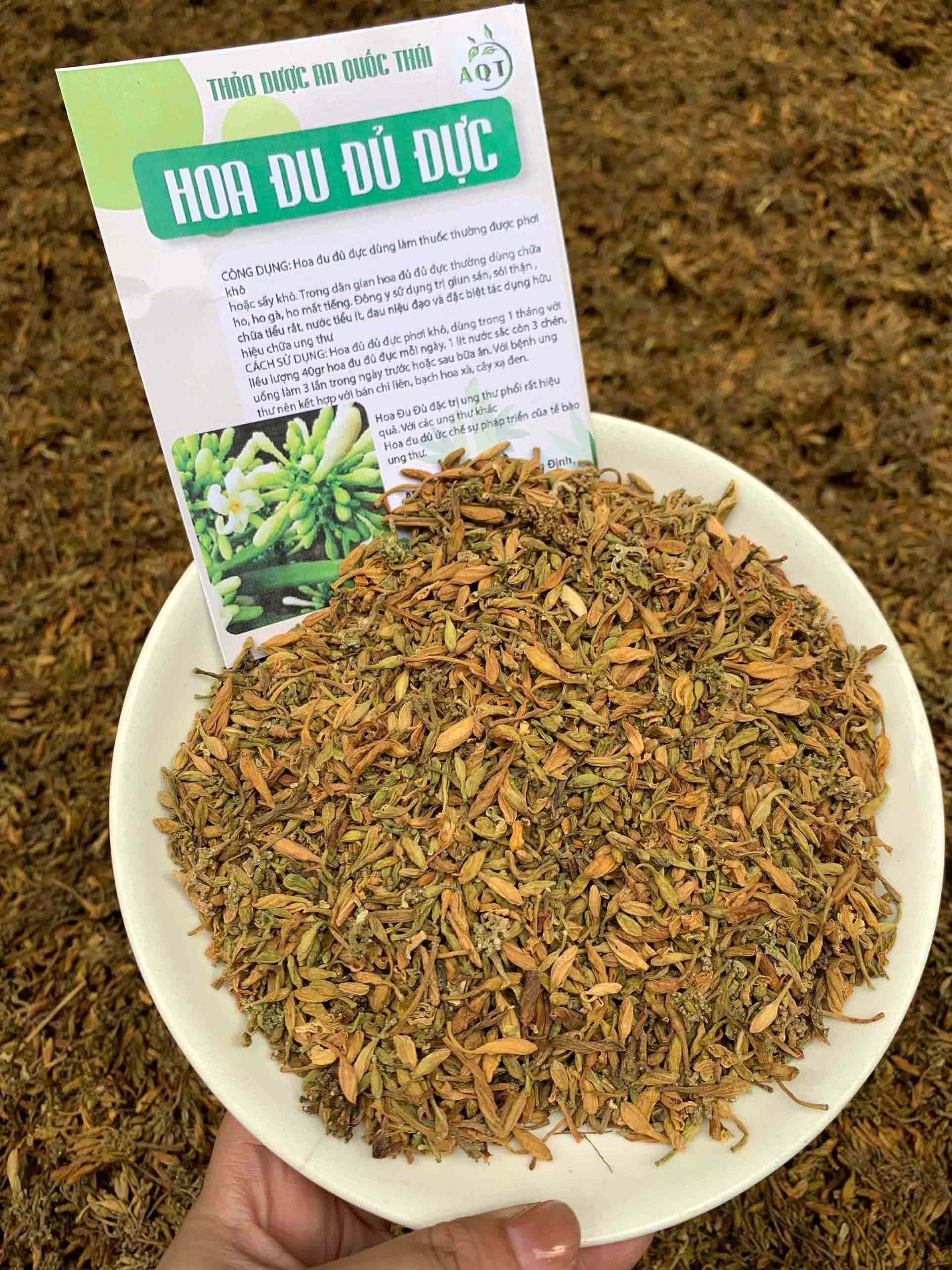 hoa du du duc mua o dau