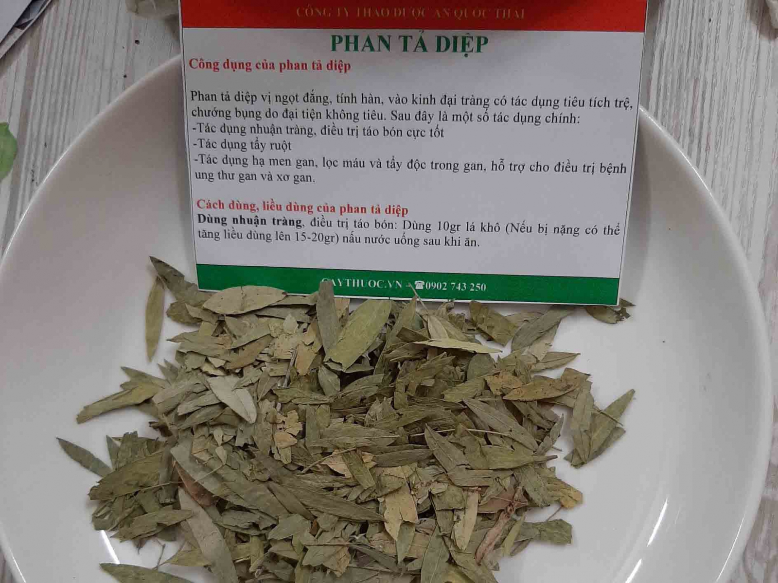 phan ta diep la gi