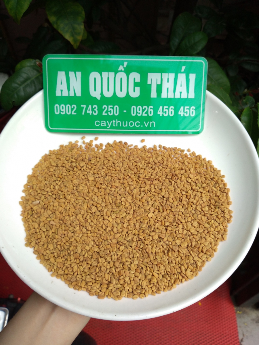 methi ấn độ