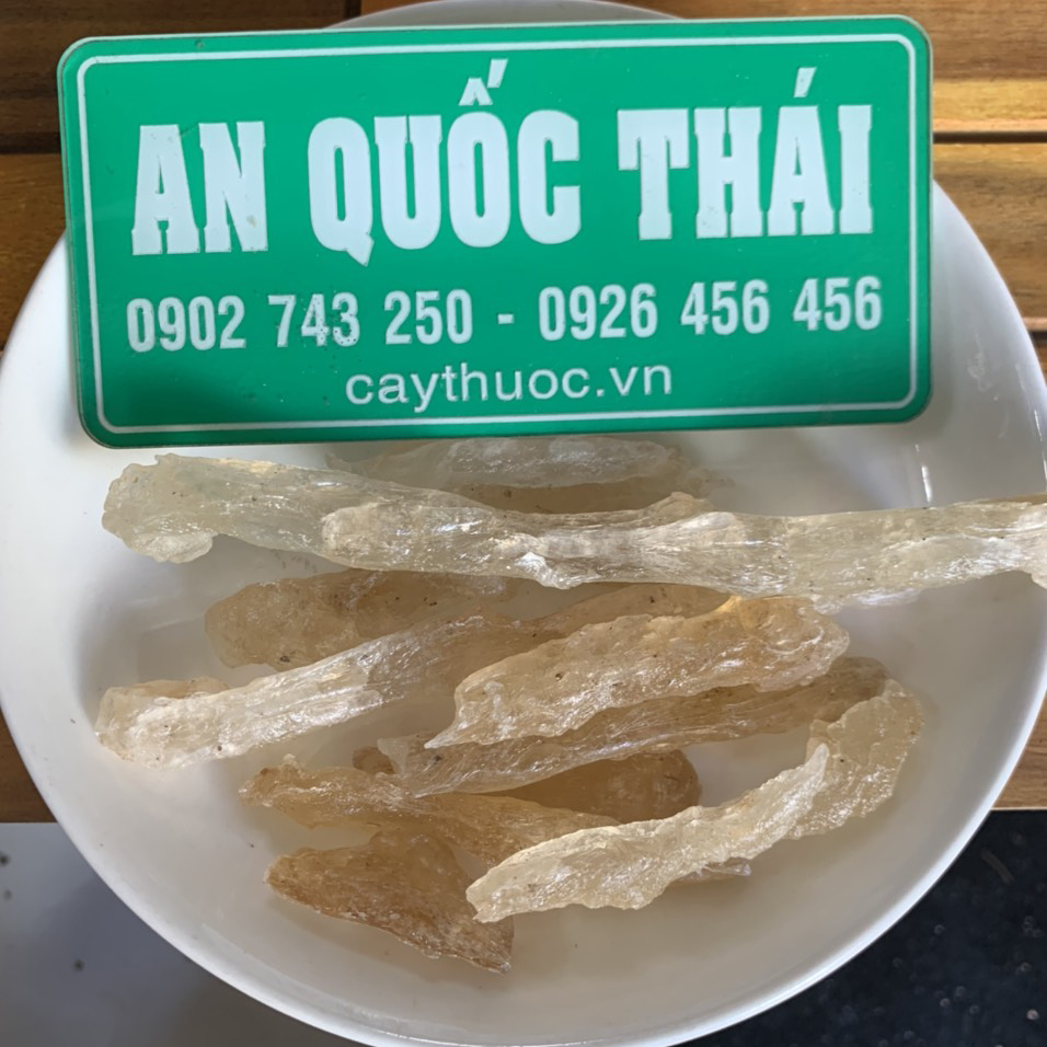 mủ trôm