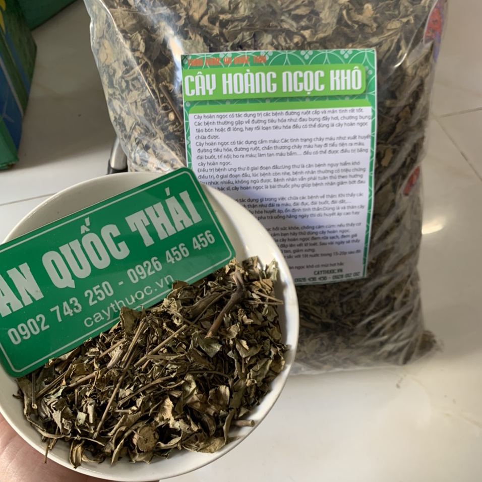 Mua cây hoàn ngọc ở đâu