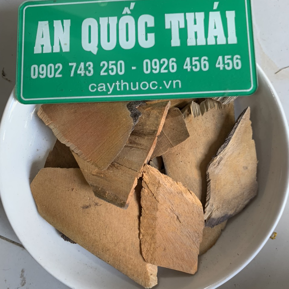 Rễ nhàu mua ở đâu TPHCM