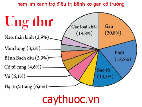 nam lim xanh quang nam