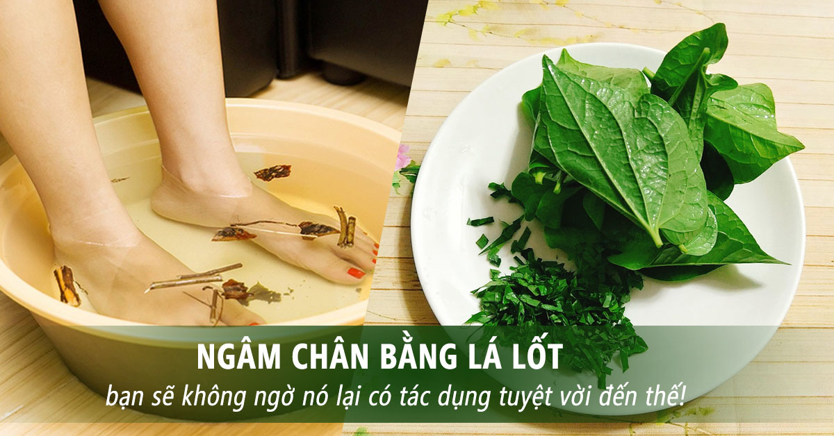 ngâm chân bằng lá lốt