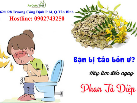 phan ta diep tri tao bon