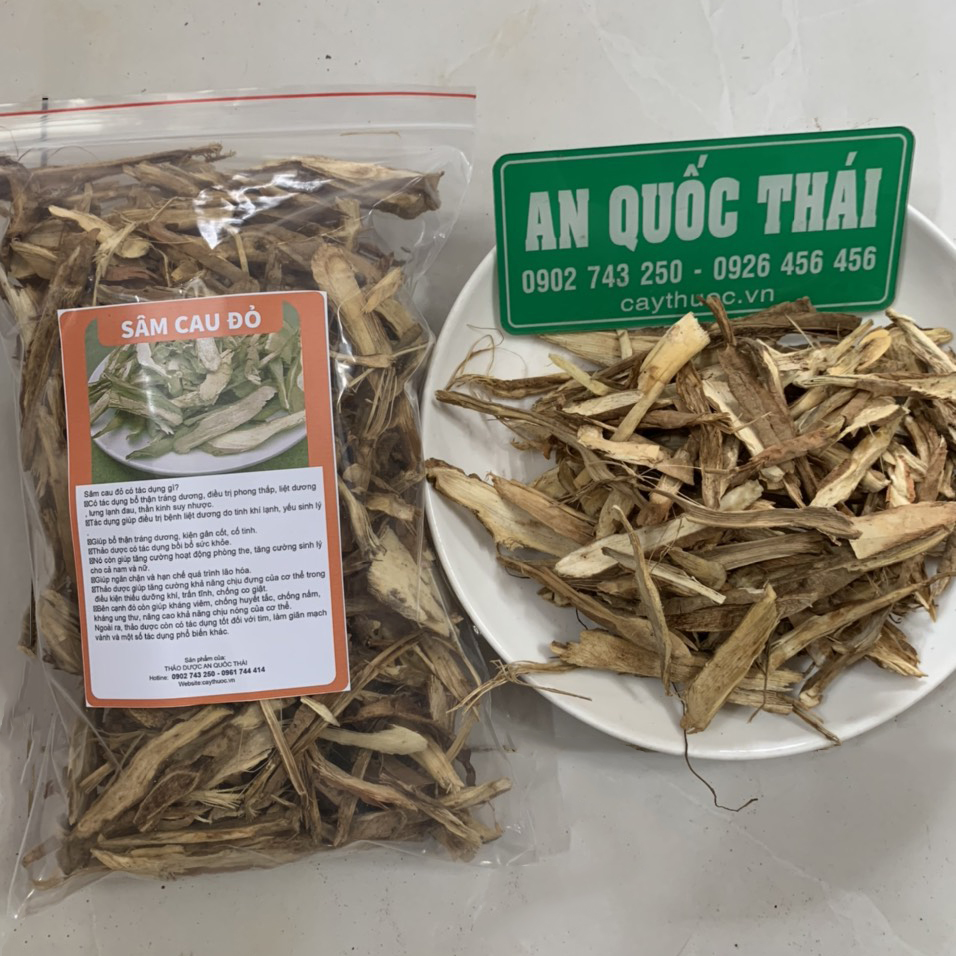 sâm cau có tác dụng gì