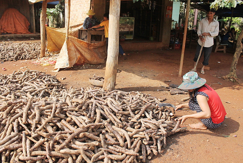 sơ chế thiên niên kiện