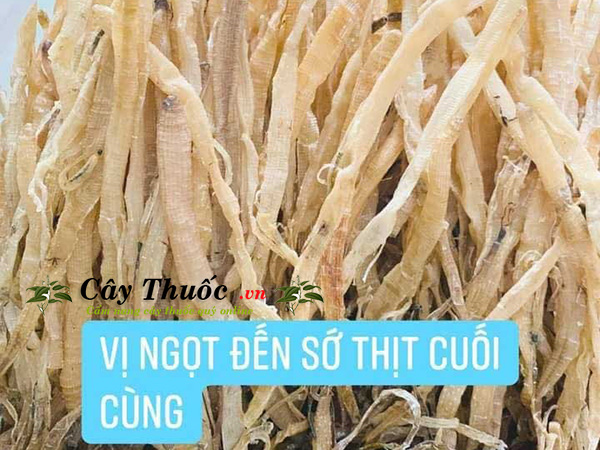 sá sùng khô giá bao nhiêu