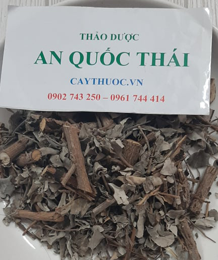 tác dụng cây từ bi