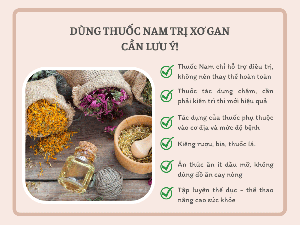 Những lưu ý quan trọng khi sử dụng thuốc Nam trị xơ gan