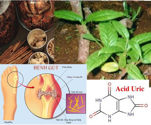 tác dụng của tơm trơng