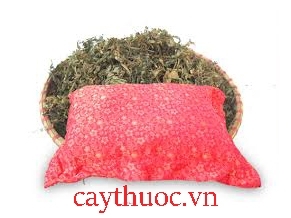 Gối đinh lăng cực tốt dành cho trẻ sơ sinh mà không phải ai cũng biết.