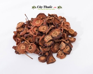 Quả sơn tra là gì và những tác dụng trong chữa trị bệnh của sơn tra