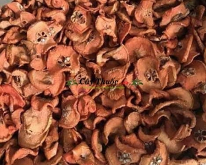 Quả sơn tra là gì và những tác dụng trong chữa trị bệnh của sơn tra