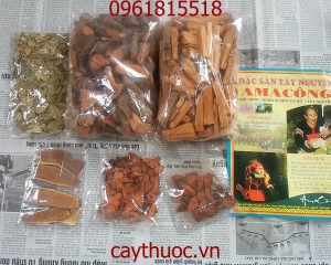 Rượu Amakong là gì? Thang thuốc a ma kông quý bổ thận mua ở đâu tốt?