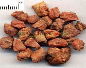 An tức hương có tác dụng là gì? An tức hương mua ở đâu?