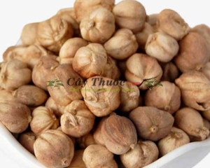 Bạch đậu khấu là gì? Tác dụng của bạch đậu khấu? Mua ở đâu TP HCM?