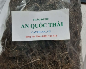 Bạch hoa xà là cây gì? Tác dụng, cách dùng, hình ảnh, mua ở đâu?