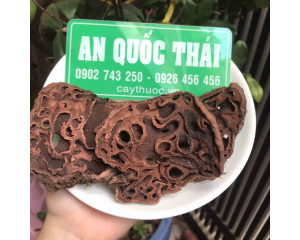 Bí kỳ nam thần dược có công dụng điều trị viêm gan, xơ gan hiệu quả.