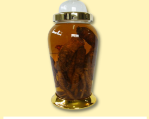 Bình bầu Phú Hòa 12 lít