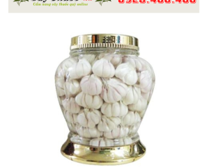 Bình ngâm rượu 10 lít Hàn Quốc Bình ngâm rượu 10 lít Hàn Quốc