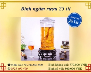 Bình ngâm rượu 25 lít nhiều kiểu dáng