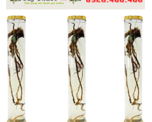 Bình ngâm rượu hàn quốc 25 lít Bình ngâm rượu hàn quốc 25 lít