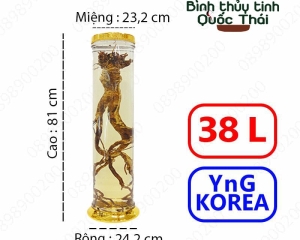 Bình ngâm rượu hàn quốc 38 lít chính hãng, giá tốt