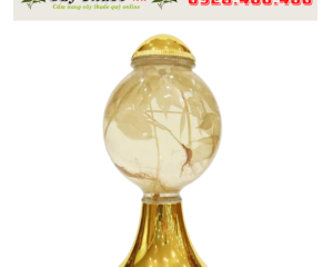 Bình ngâm rượu Hàn Quốc 5 lít Bình ngâm rượu Hàn Quốc 5 lít