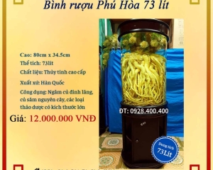 Bình ngâm rượu hàn quốc 73 lít - MS N1