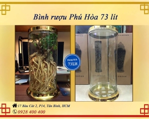 Bình ngâm rượu hàn quốc 73 lít - MS N1